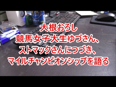 マイルチャンピオンシップ2020の上位人気馬を軽く考察！
