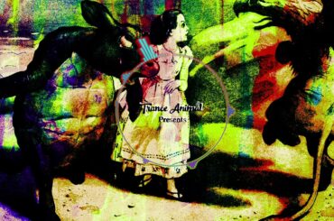 【MCバトル用ビート】vivide / OZWORLD（重盛さとみ）DJ chaka