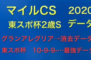 【競馬予想】　マイルチャンピオンシップ　東スポ杯2歳ステークス　2020 データ予想