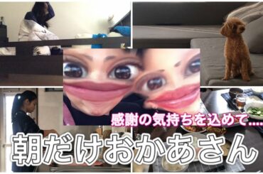 「朝だけお母さん」Monster Cat's MISAKI NANAMI RIE COCONANASPROUT Production ダンスヴォーカル