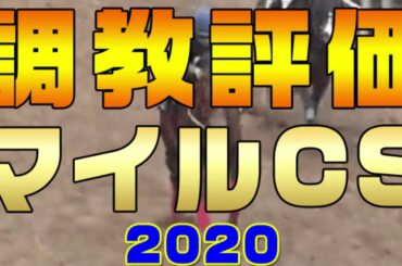 マイルチャンピオンシップ2020【追い切り評価　全頭診断】A～D評価。追い切りが良かった馬は？調教評価内容を解説＆評価。最終追い切り（直前追い切り）＋1週前追い切りの走法や強弱・フットワークから解説