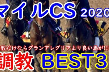 マイルチャンピオンシップ2020　調教BEST3　調教だけならグランアレグリアよりも良い馬が!!!