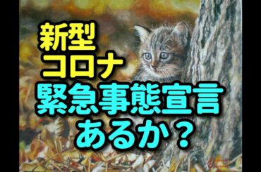 タロット占い　新型コロナー緊急事態宣言はあるか？