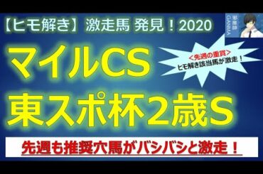 ＜マイルチャンピオンシップ＆東京スポーツ杯2歳ステークス＞【ヒモ解き】激走馬 発見！2020