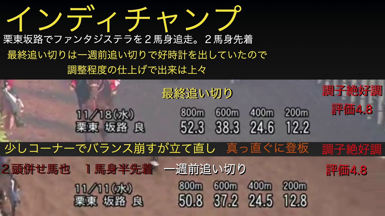 マイルチャンピオンシップ2020最終追い切り