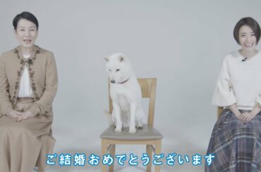 『STAND BY ME ドラえもん 2』白戸家（上戸彩＆樋口可南子＆お父さん） 寿メッセージ Short ver.