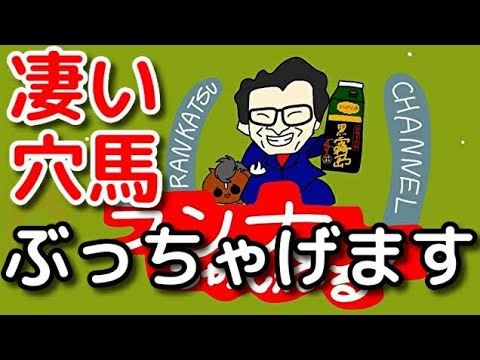 マイルチャンピオンシップ2020　アンカツの凄い穴馬ぶっちゃげます！【競馬】