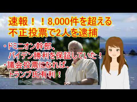 11月20日 アメリカ大統領選挙 不正で逮捕者 トランプ大統領優勢か 11月20日 アメリカ大統領選挙 不正で逮捕者 トランプ大統領優勢か