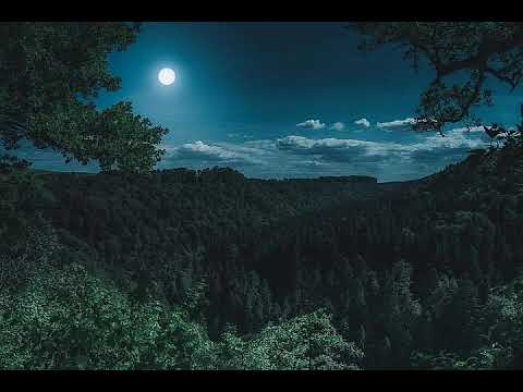 紀平梨花 Rika Kihira Рика Кихира 2018-19 SP 月の光 音源 紀平梨花 Rika Kihira Рика Кихира 2018-19 SP 月の光 音源