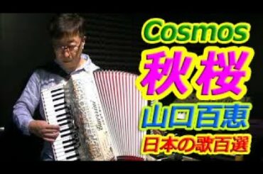 秋桜 Cosmos 山口百恵 - Nori Nagasaka (Accordion)