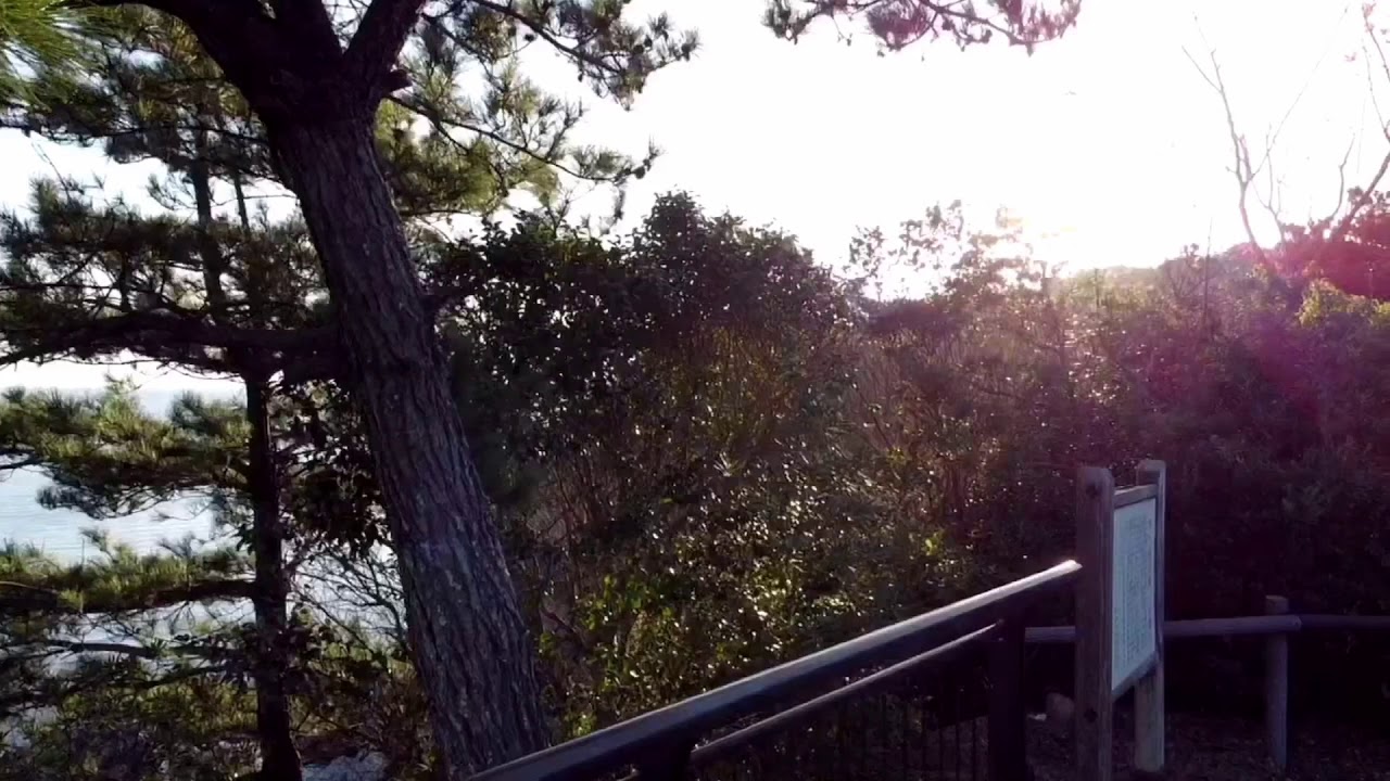 上関大橋の絶景❗️瀬戸内海山口県上関町の景色とキレイな海　ドローン空撮動画  #YuAiru