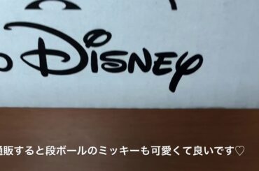 【購入品紹介】ディズニーストア限定ロルバーンとツイステグッズ