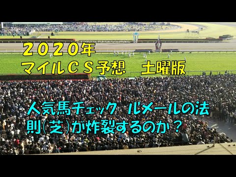 ２０２０年　マイルチャンピオンシップ予想【ぜんこうの競馬予想　土曜版　マイルチャンピオンシップ人気馬徹底チェック　ルメールの法則】