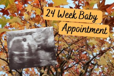 24 week Baby Appointment in Japan