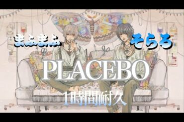 【1時間耐久】PLACEBO（米津玄師×野田洋次郎）cover/そらる×まふまふ