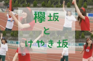 【日向坂46】先輩との独特な絡み。