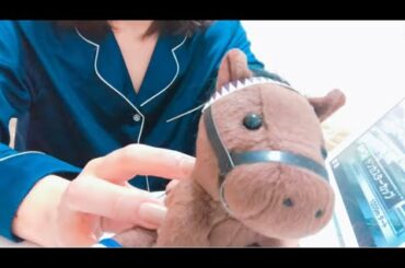 🏇競馬好き / エリザベス女王杯の1日