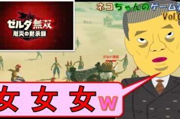 【ゼルダ無双厄災黙示録】石破茂氏が女（ゲルド族）を物色しておりますｗ【ネコちゃんのゲーム実況】