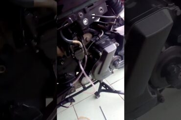 Karbu TK 24 | PE 24 | TK Japan | Skywave TK 24