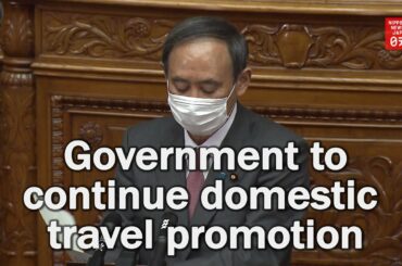 Japan to keep domestic tourism promotion campaign despite COVID spike