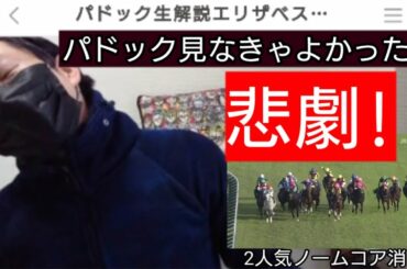 【競馬予想】エリザベス女王杯2020年 生配信公開 ふわっち【プロ競馬予想馬券師の見解】