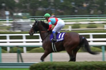 【競馬】第37回 マイルチャンピオンシップGⅠ 本馬場入場 現地映像 グランアレグリア