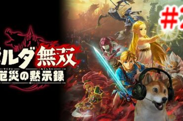 ゼルダ無双 厄災の黙示録 柴犬リンクの冒険#2