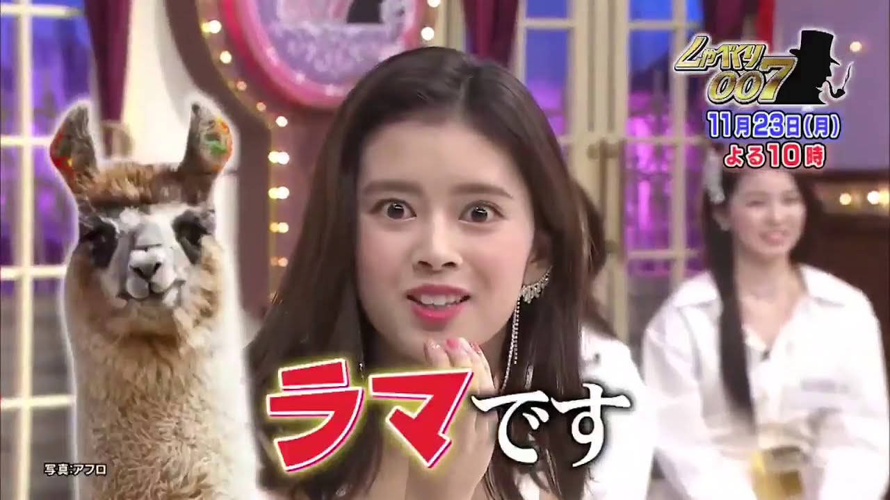 しゃべくり007 2020/11/23 NiziU初バラエティー!~しゃべプロ オーディション~