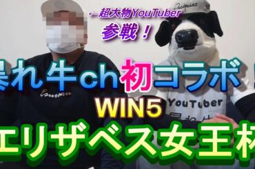 #エリザベス女王杯#暴れ牛#ウインファイブ　 エリザベス女王杯暴れ牛チャンネル初コラボ！超大物YouTuber参戦？