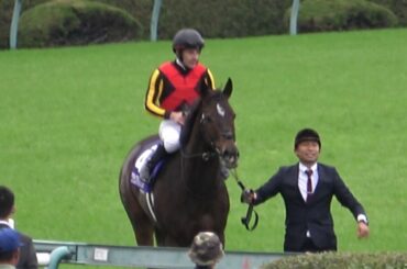 【競馬】第37回 マイルチャンピオンシップGⅠ ウィニングラン 現地映像 グランアレグリア
