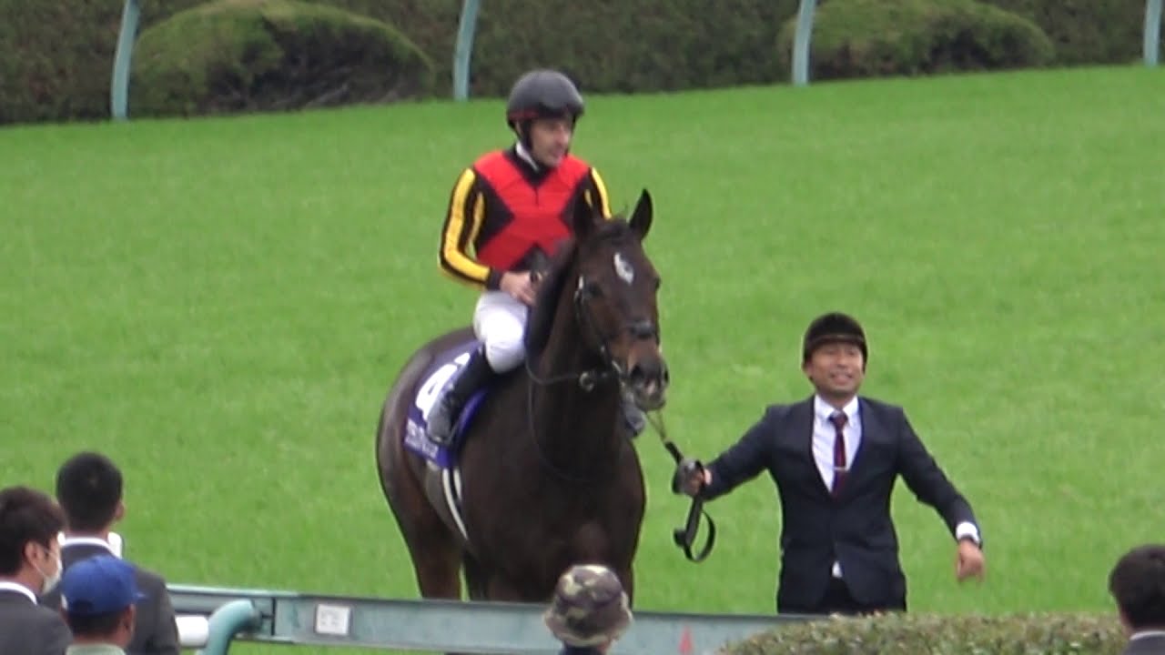 【競馬】第37回 マイルチャンピオンシップGⅠ ウィニングラン 現地映像 グランアレグリア 【競馬】第37回 マイルチャンピオンシップGⅠ ウィニングラン 現地映像 グランアレグリア