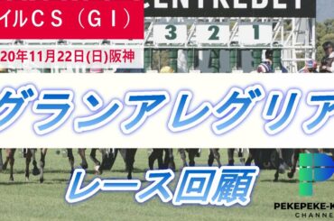 【マイルチャンピオンシップ　レース回顧】グランアレグリア　不利もものともせず完勝！！【元騎手候補生ペケペケの競馬チャンネル】