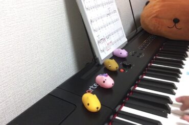 day 201【ピアノ初心者】ハッピーバースデーの曲 椎名林檎さん 誕生日おめでとうございます！
