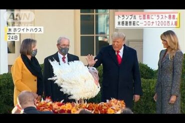 トランプ大統領　感謝祭控え・・・七面鳥“ラスト恩赦”(2020年11月25日)