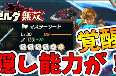 【ゼルダ無双 厄災の黙示録】マスターソードが覚醒！隠された能力が強すぎる！【Hyrule Warriors age of calamity comparison】【naotin】