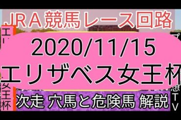 【レース回路】エリザベス女王杯(G1)次走穴馬と危険馬の解説 分析 先週の結果【競馬】Racing Sports