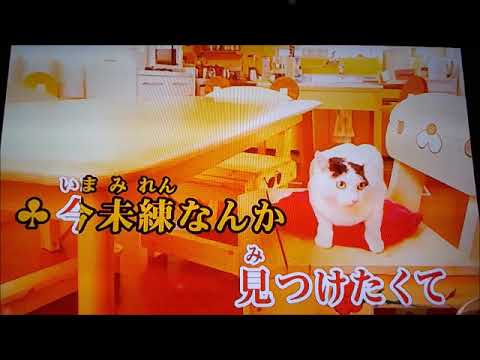【cover】CITRUS／Da-iCE【ドラマ『極主夫道』主題歌】歌ってみました