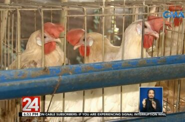 24 Oras: Pag-aangkat ng poultry products mula Kagawa, Japan at Frodsham, England, ipinagbawal ng...