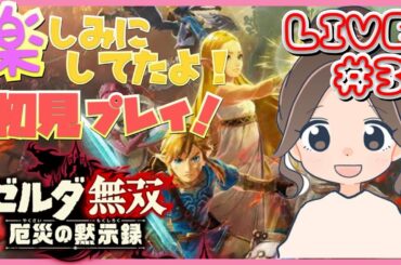 【ゼルダ無双~厄災の黙示録~】＃3 　2章ゲルド族～いきますよ！　※ネタバレ注意【女性実況】