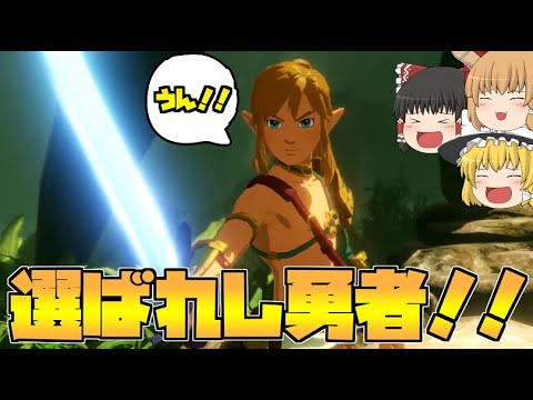 【ゼルダ無双厄災の黙示録】伝説の退魔の騎士参上‼焦るゼルダ姫の気持ち…【ゆっくり実況】#12