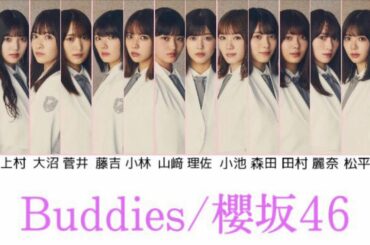 Buddies/櫻坂46 歌割り