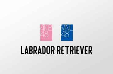 Audio Comparison – Labrador Retriever [AKB48 / MNL48]
