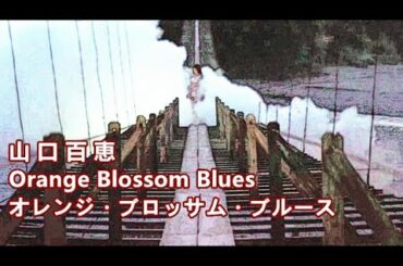 オレンジ・ブロッサム・ブルース (Orange Blossom Blues)山口百恵 【中文歌詞】