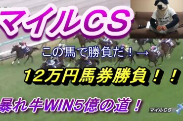 ＃マイルＣＳで＃馬券勝負！　＃暴れ牛の＃WIN５　秋の＃Ｇ１＃転がし企画もお見逃しなく！