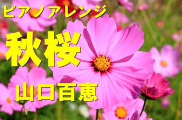 『秋桜（コスモス）』ピアノソロ 山口百恵 さだまさし "Cosmos"  Momoe Yamaguchi ～ Piano Solo ～ 加羽沢美濃 編曲版