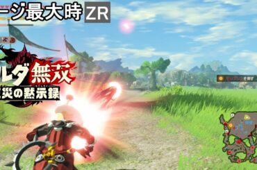 【ゼルダ無双 厄災の黙示録】コーガ様 モーション集 Hyrule Warriors: Age of Calamity