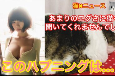 池田エライザAKB歌唱中にハプニング❗️　エロイザ　池田エライザは悪くない　AKBは悪くない(池田エライザ　池田　エライザ　AKB　ベストアーティスト　時事ネタ　炎上　猫✖︎ニュース)　#257