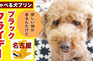 【おしゃべりペット】しゃべる犬 名古屋弁 自粛犬プリン  ブラックフライデー