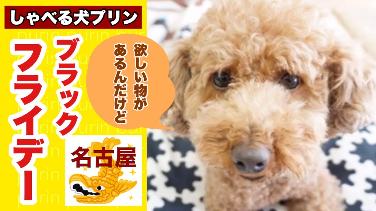 【おしゃべりペット】しゃべる犬 名古屋弁 自粛犬プリン  ブラックフライデー