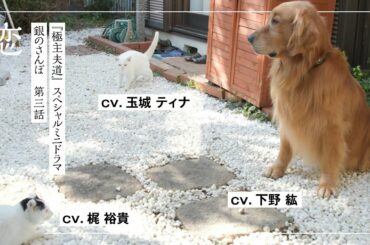 『極主夫道』スペシャルミニドラマ　「銀のさんぽ」　第三話（最終回）　恋【CV：梶裕貴＆下野紘＆玉城ティナ】